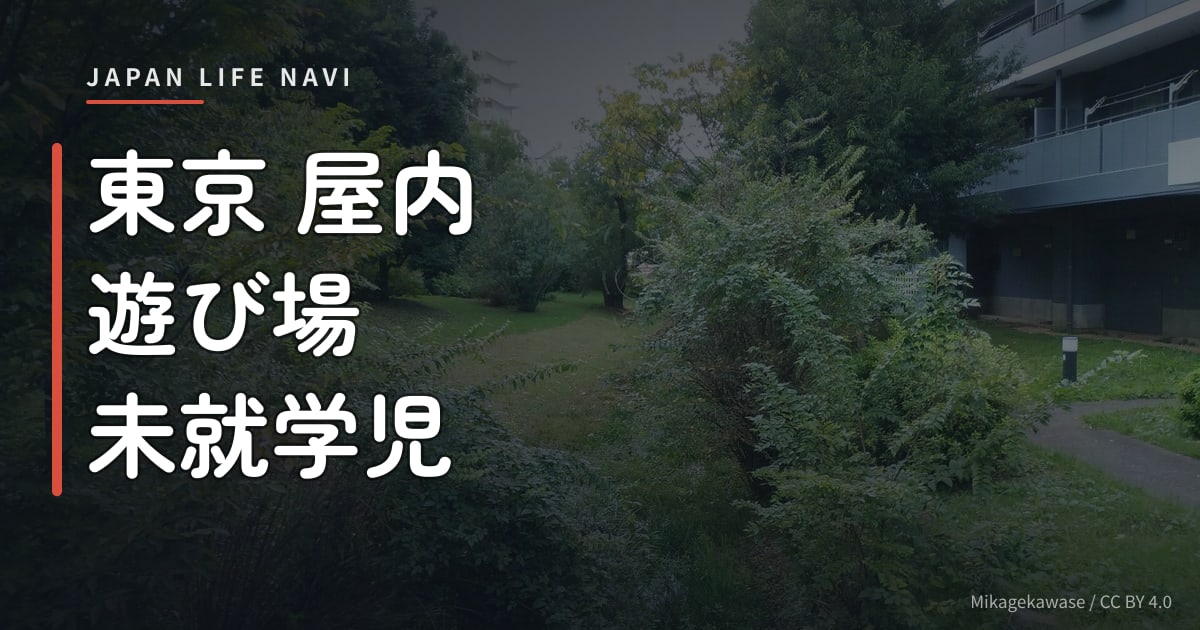 東京 屋内 遊び場 未就学児 東京 屋内 遊び場 未就学児におすすめ5選｜雨の日も安心して遊べるスポット