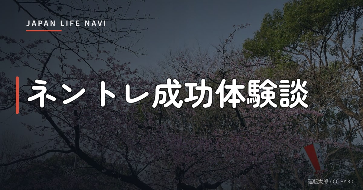 ネントレ成功体験談