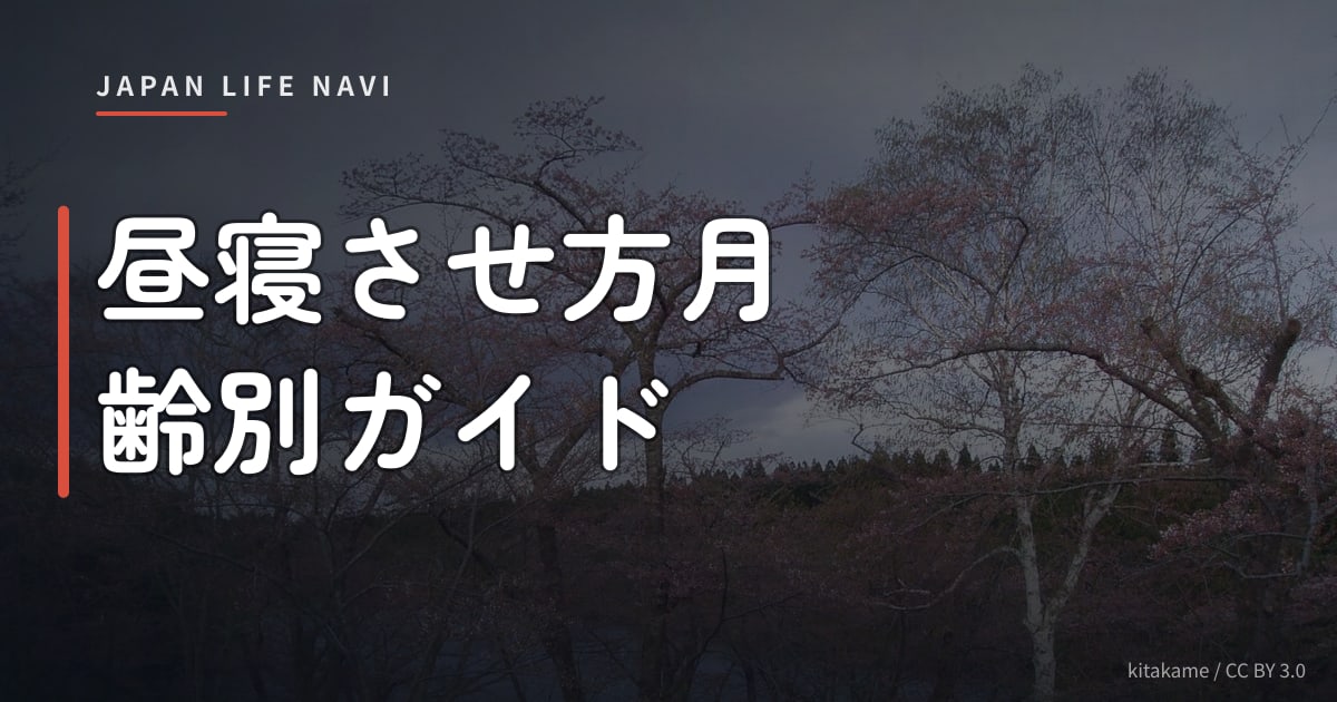 昼寝させ方月齢別ガイド