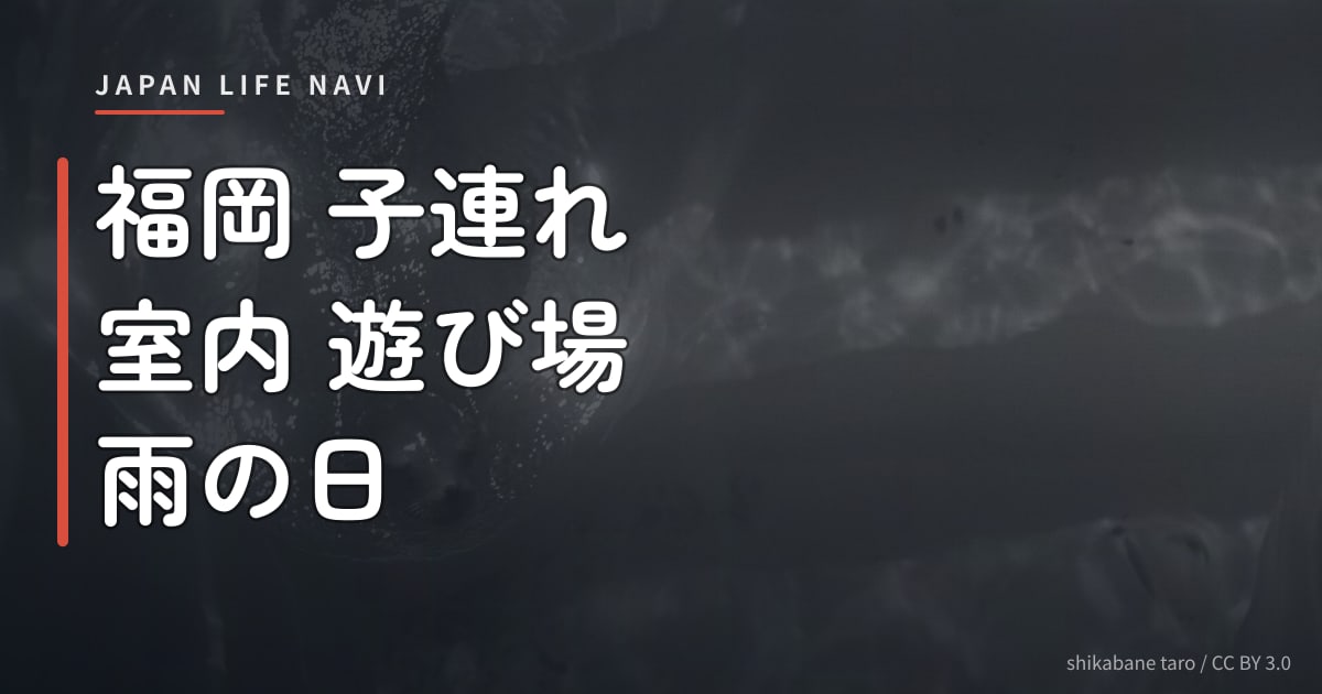 福岡 子連れ 室内 遊び場 雨の日 福岡 子連れ 室内 遊び場 雨の日におすすめ！定番スポット6選